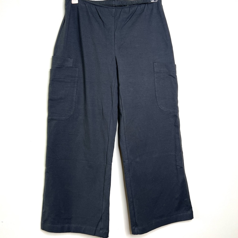 Neon Buddha Cropped Wide Leg Pants Gray Size XS